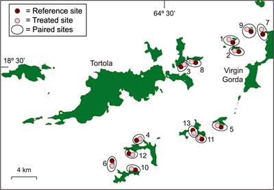 Antibiotic Treatment Ameliorates the Impact of Stony Coral Tissue Loss Disease (SCTLD) on Coral Communities